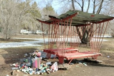 Мусорные подснежники: омичи превратили Советский пляж в свалку