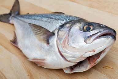 Тематическое фото GigaChat (18+)