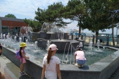 Туристический поток в Анапу может вернуться к прежним показателям