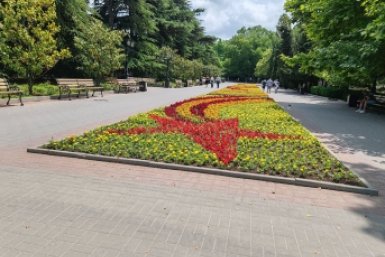 На организацию выставки Александра Дейнеки в Севастополе выделяют 176 млн рублей