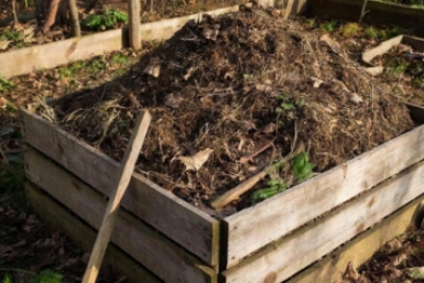 Добавляю 3 ложки в компост - и даже палки и кости перегниют: ускоренный метод от агрономов
