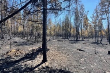 Штрафы до 1 млн рублей грозят забайкальцам за разведение костров в лесах