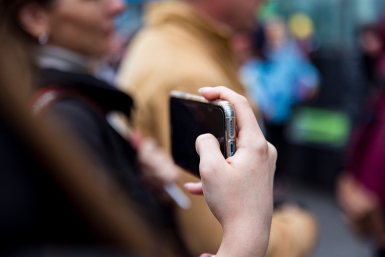 "Весна крышу рвёт?": доисторическая ящерица в центре столицы ДФО "шокировала" народ