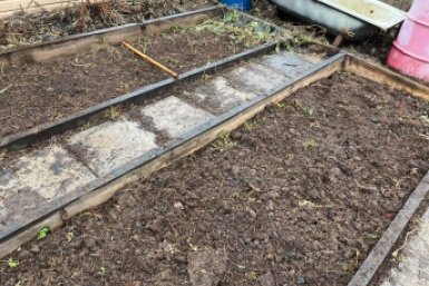 Увидела розовую воду в стакане и сразу побежала за известью: 3 способа проверки земли, которые не подводят