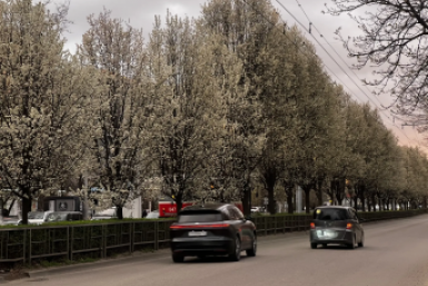 Сочи и Краснодар привлекли туристов доступными ценами на отдых в майские