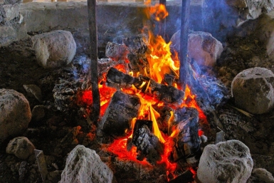 Дети в Москве нашли сумку с 88 тысячами долларов и устроили "пионерский костер"