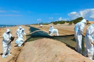 Правительство выделило еще 712 млн рублей на ликвидацию мазутного ЧП на Кубани и в Крыму