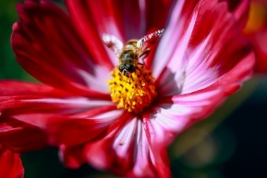 Резкие ливни и тепловые волны: чего ждать от лета-2026