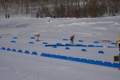 Новость дня