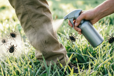 2 пшика на одежду — клещи умчатся как угорелые: вредные репелленты больше не скупаю