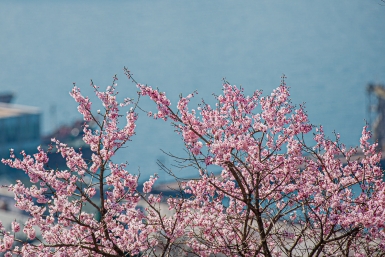 Близок к климатической норме: синоптики рассказали, что ждать от апреля в Приморье
