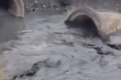 Тематическое фото ТГ-канал (18+) &quotЭколог Сидоров&quot