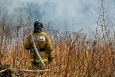 Огнеборцы ликвидируют пожар в Уссурийском лесничестве Александр Хитров, ИА PrimaMedia