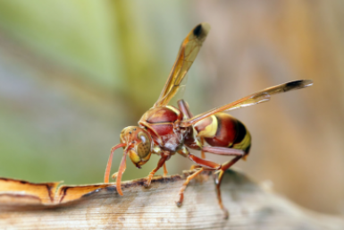 Тематическое фото Сайт pxhere.com