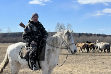 Фермер спас табун лошадей от стаи волков в Бурятии