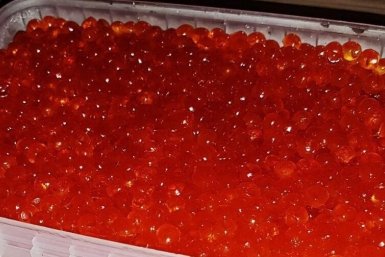 Новость дня