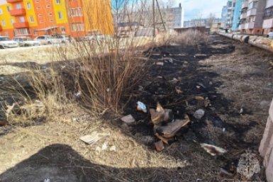 Сгоревшая трава ГУ МЧС по Забайкалью