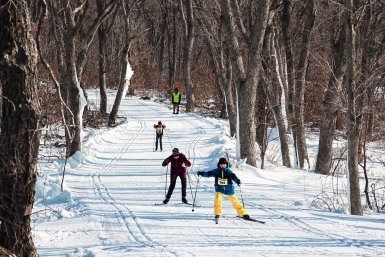 Тематическая иллюстрация ИА PrimaMedia.ru