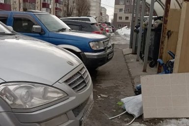 Тематическое фото пресс-служба АО &quotУправление по обращению с отходами&quot