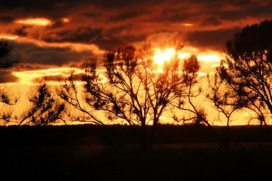 Глава РАН заявил о неожиданном изменении климата в России