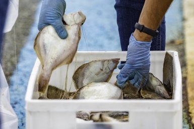 Рыбалка Дмитрий Осипчук, ИА PrimaMedia.ru