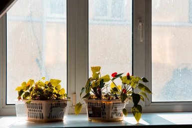 О домах для переселенцев из ветхого жилья рассказал глава минстроя Ставрополья