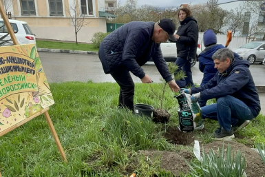 Петербургские специалисты займутся созданием &quotзеленого кода&quot Новороссийска Пресс-служба администрации Новороссийска