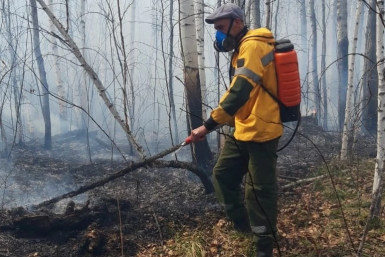 Минлес Иркутской области требует 15 млн рублей с виновников лесных пожаров