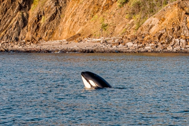 Гороскоп на 2 апреля: Важно не распыляться на множество дел