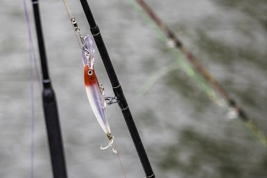 Рыбакам Ставрополья напомнили о продлении запрета на ловлю воблы и плотвы