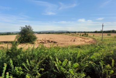 Подложные документы помогли кубанцу зарегистрировать участок в обход закона