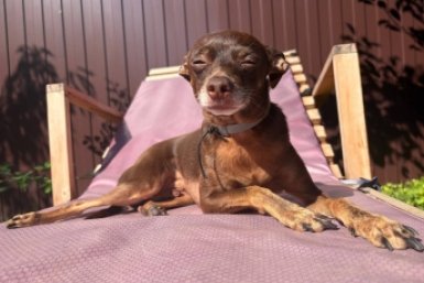 В Ставрополе синоптики обещают весеннюю жару 2 и 3 апреля