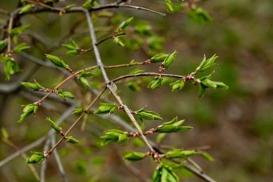 Дачники кидают деньги на ветер: почему удобрения только вредят урожаю