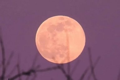 Розовая Луна озарила небо над Иркутской областью