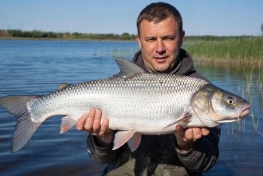 Где сейчас реально клюёт: рыбные места, о которых не говорят вслух