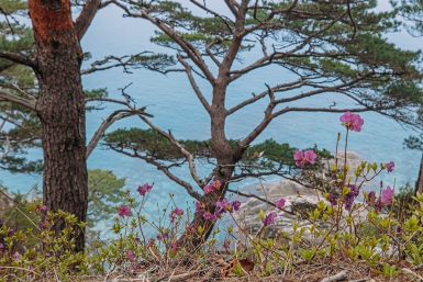 Новость дня