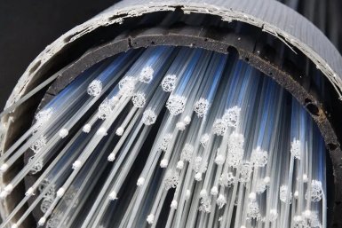 Новость дня