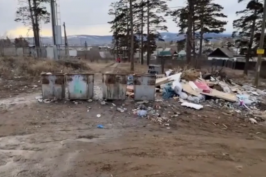 Жители окраины Улан-Удэ пожаловались на трупы животных у школы