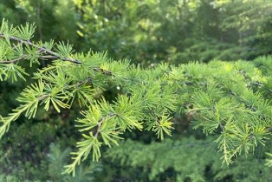 Тематическое фото УМВД России по Магаданской области