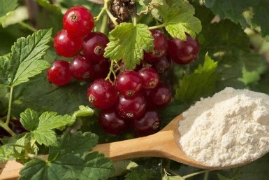 Смородине в середине апреля — обязательно: 3 ложки муки под куст — и ягод вагон и маленькая тележка