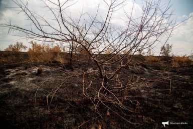 Округа с опасным движением песков и опустыниваем земель назвали на Ставрополье