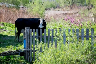 Кубанский хутор вошел в рейтинг самых веселых и смешных названий в РФ