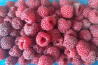 3 литра под куст - малина гнется до земли: ягоды красные и сладкие