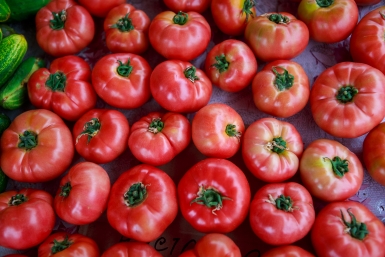 Бросаем полтаблетки в лунку – томаты растут крупные и мясистые: по 8 кг с куста