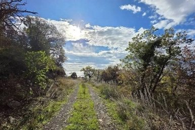 В Новороссийске отдыхающих завлекают новыми турмаршрутами