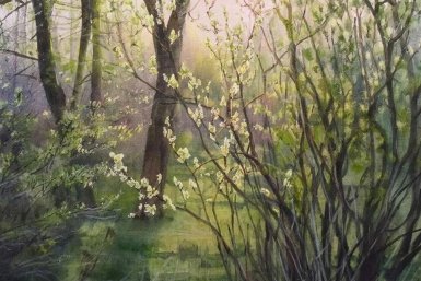 Дачники, пока почки не распустились: Самая важная обработка деревьев и кустов в апреле