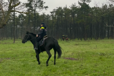В Севастополе более 150 рейдов в месяц будут проходить в пожароопасном сезоне