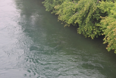 Жители Новой Москвы недовольны запахом в поселке