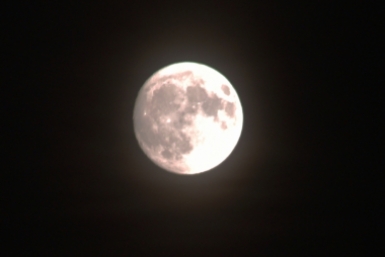 Луна Юрий Гуршал, ИА SakhalinMediа