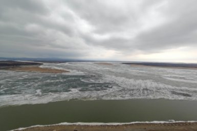 Пока вы спали: ГОСТ на колобок и борщ, бизнес мигрирует, "наша кава" и карта нищеброда